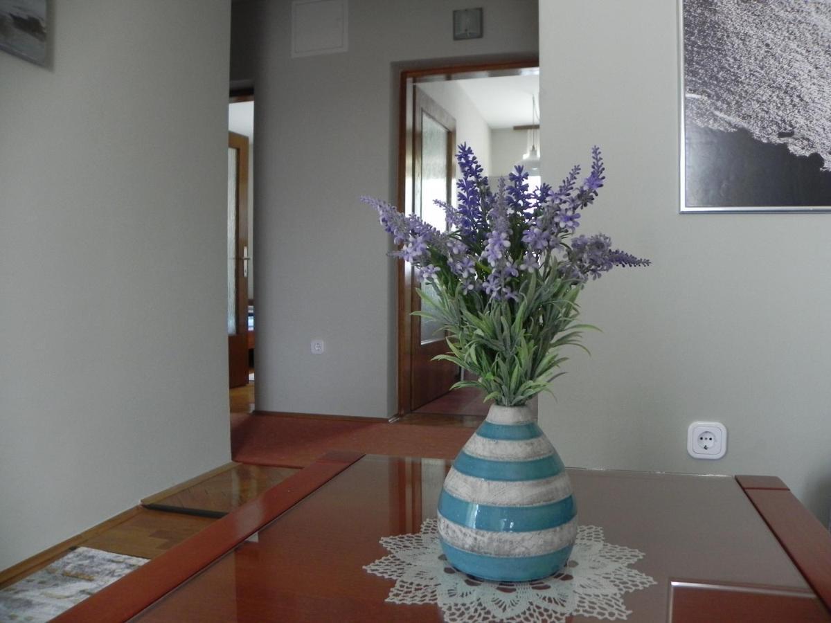 Apartments Katalenic Селце Екстер'єр фото